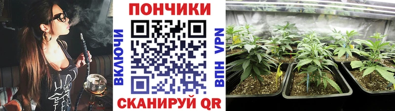 Купить закладку COCAIN  Меф  СК  БУТИРАТ  МАРИХУАНА  Лесной