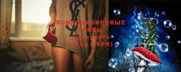 винт Надым