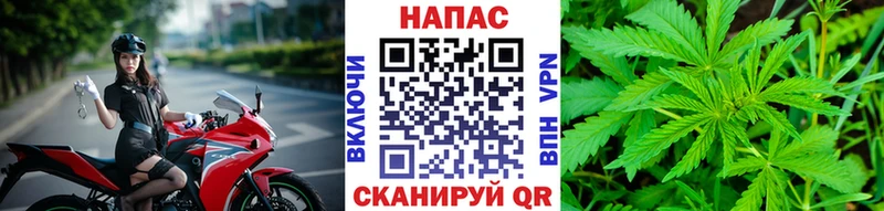 Купить  Лесной  Канабис Amnesia 